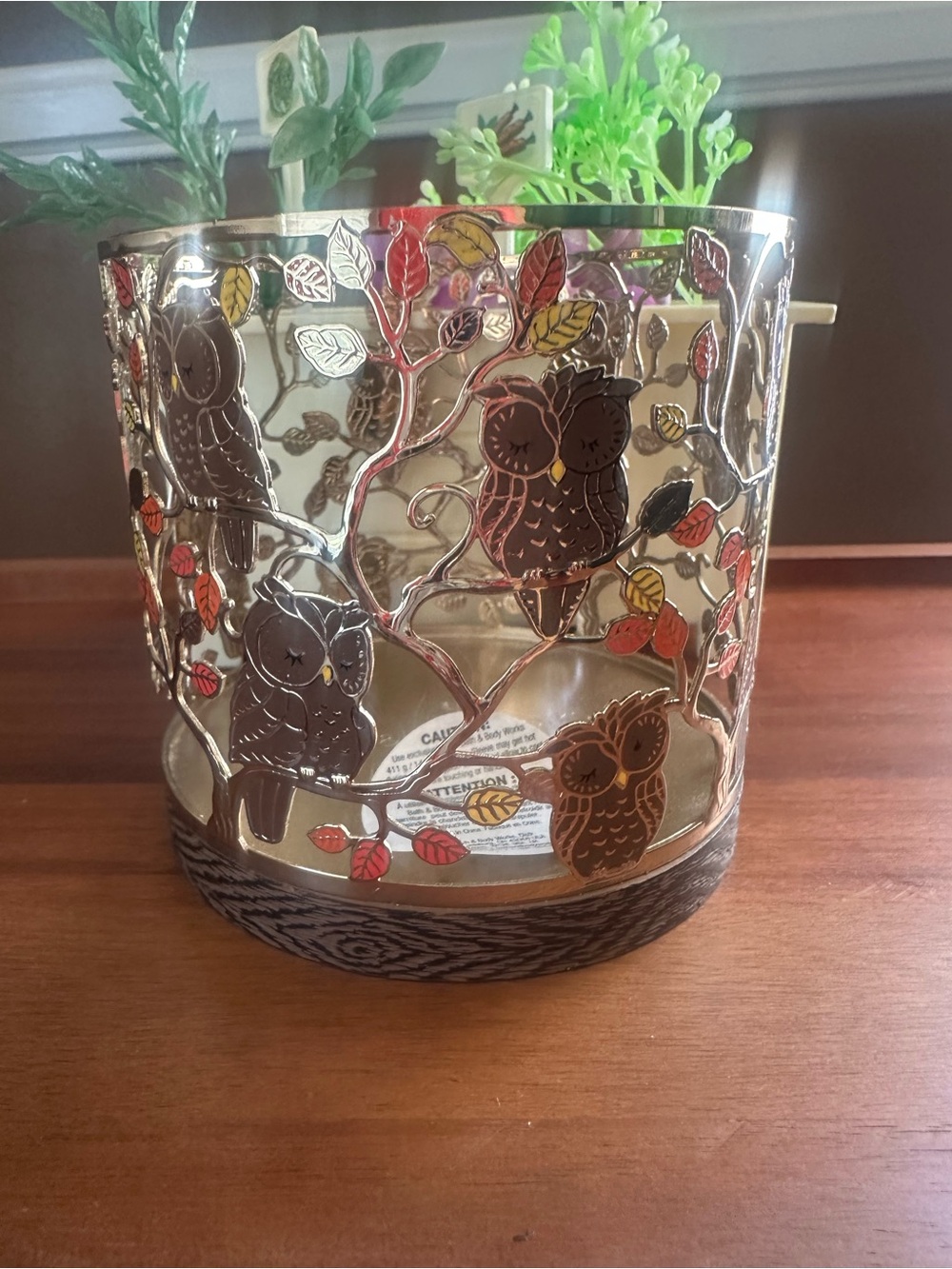 Bath And Body Works Owl Fall 3 Wick Candleholder with Red And Gold Leaves